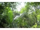 Lot 4 Bluebird Drive, Strathdickie QLD 4800
