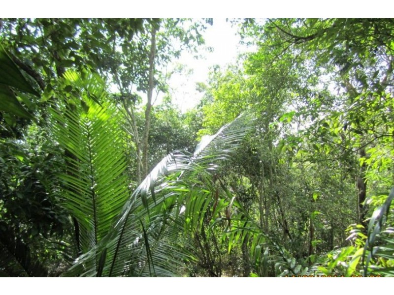 Lot 4 Bluebird Drive, Strathdickie QLD 4800