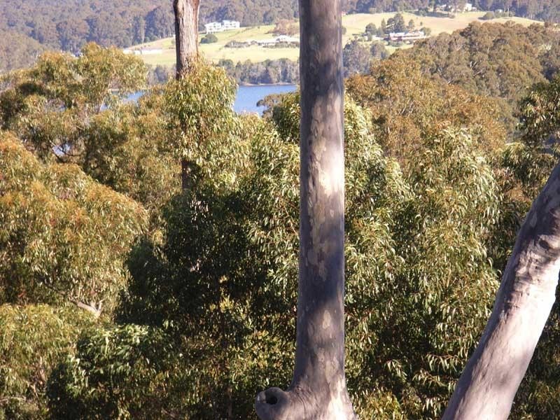 North Narooma NSW 2546