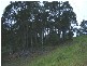 Narooma NSW 2546