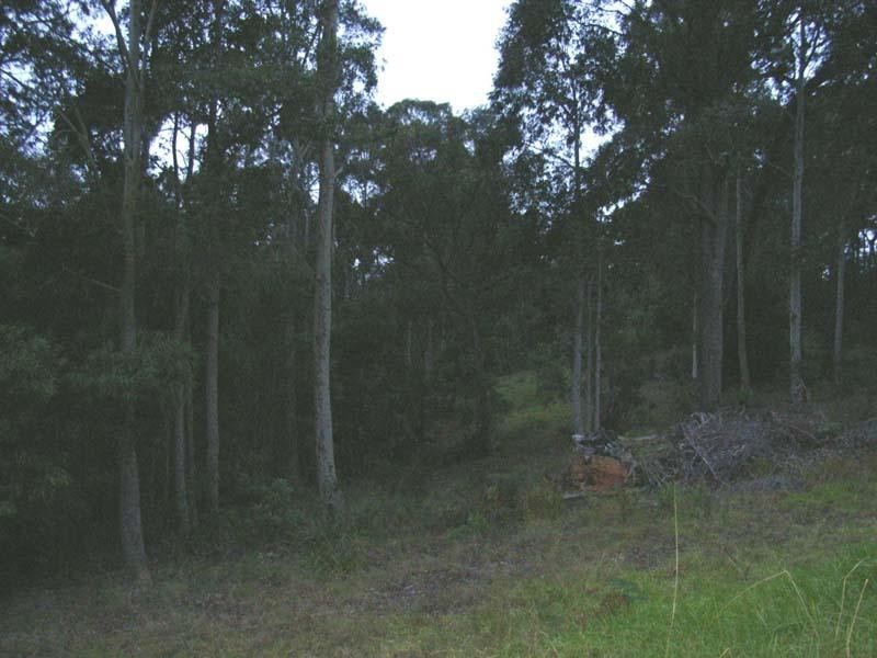 Narooma NSW 2546