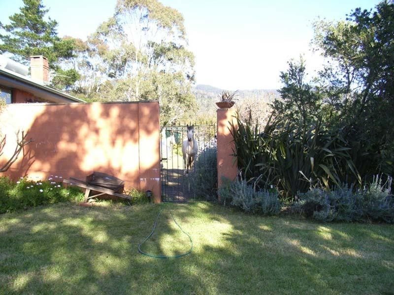 Central Tilba NSW 2546