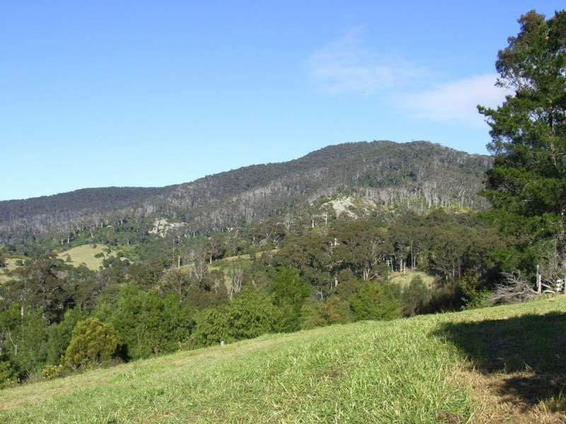 Central Tilba NSW 2546