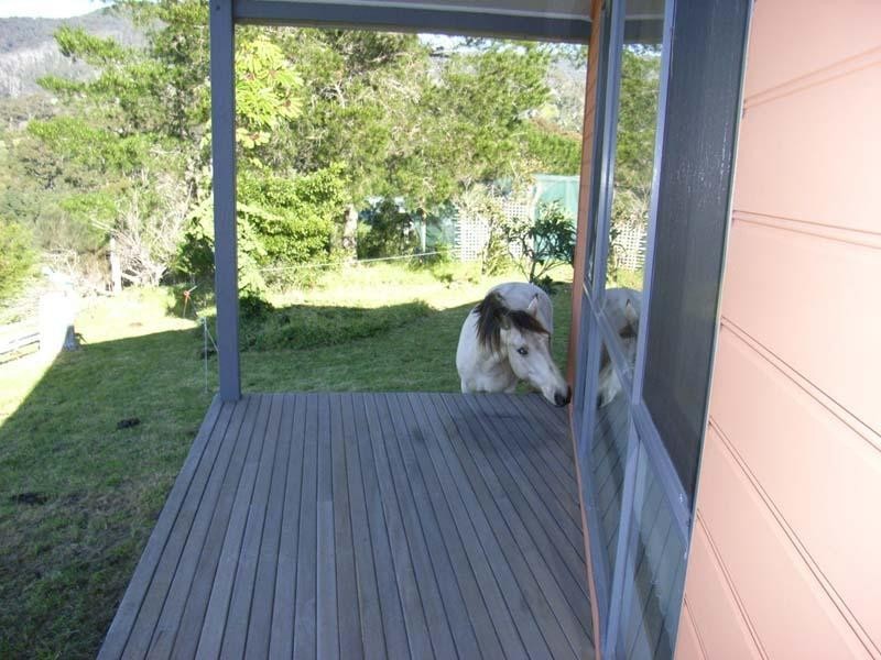 Central Tilba NSW 2546