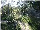 Narooma NSW 2546