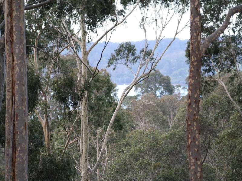 Narooma NSW 2546