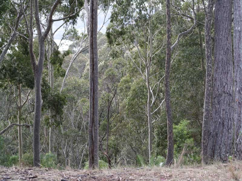 Narooma NSW 2546