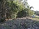 Bodalla NSW 2545