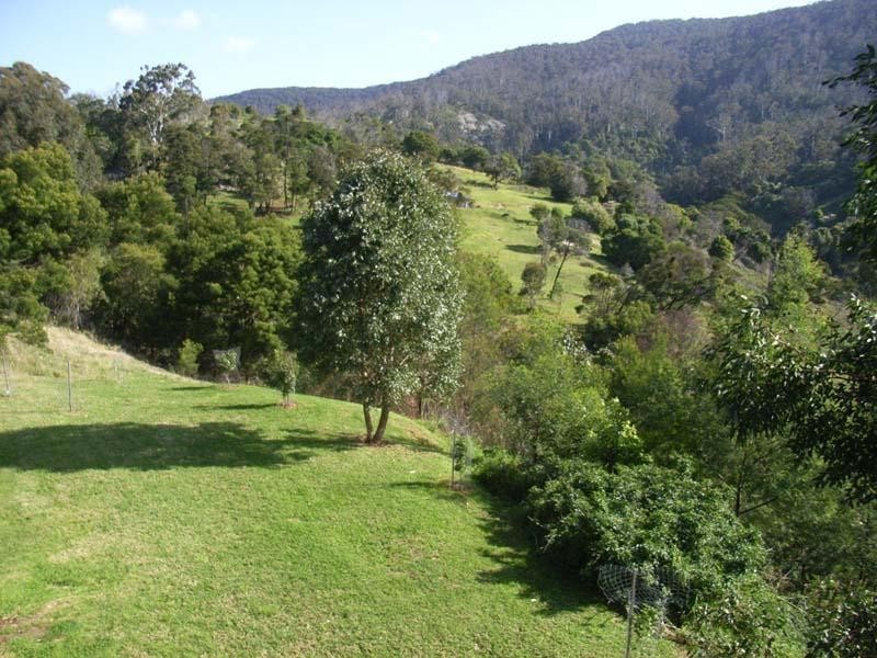 Central Tilba NSW 2546