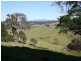 Central Tilba NSW 2546