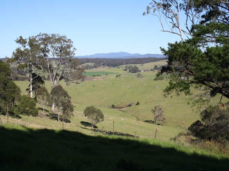 Central Tilba NSW 2546