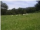 Tilba Tilba NSW 2546