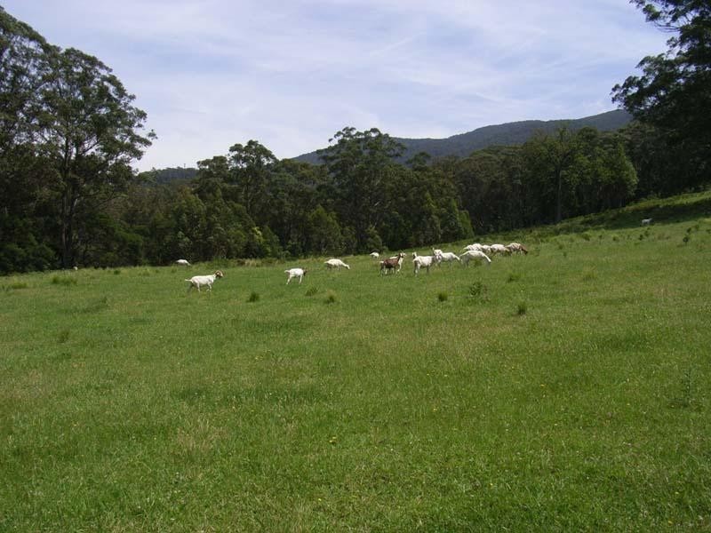 Tilba Tilba NSW 2546