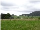 Central Tilba NSW 2546