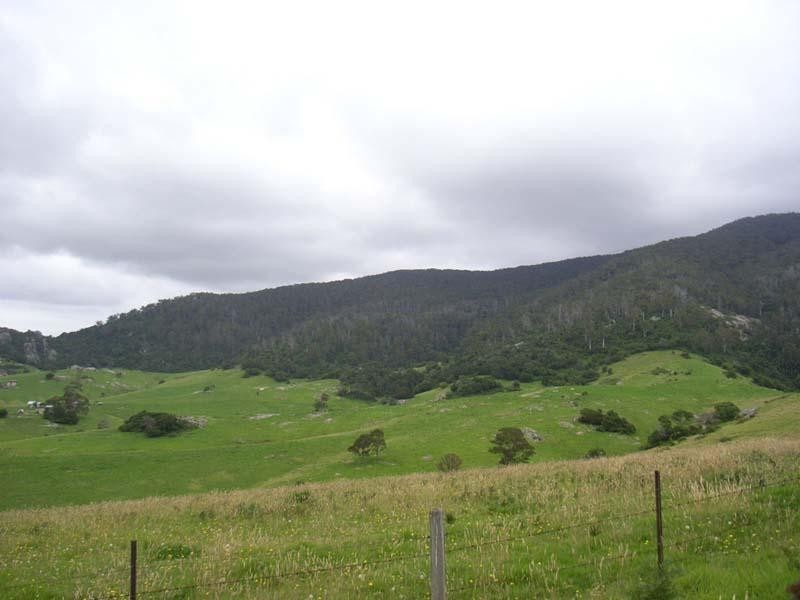 Central Tilba NSW 2546
