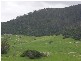 Central Tilba NSW 2546