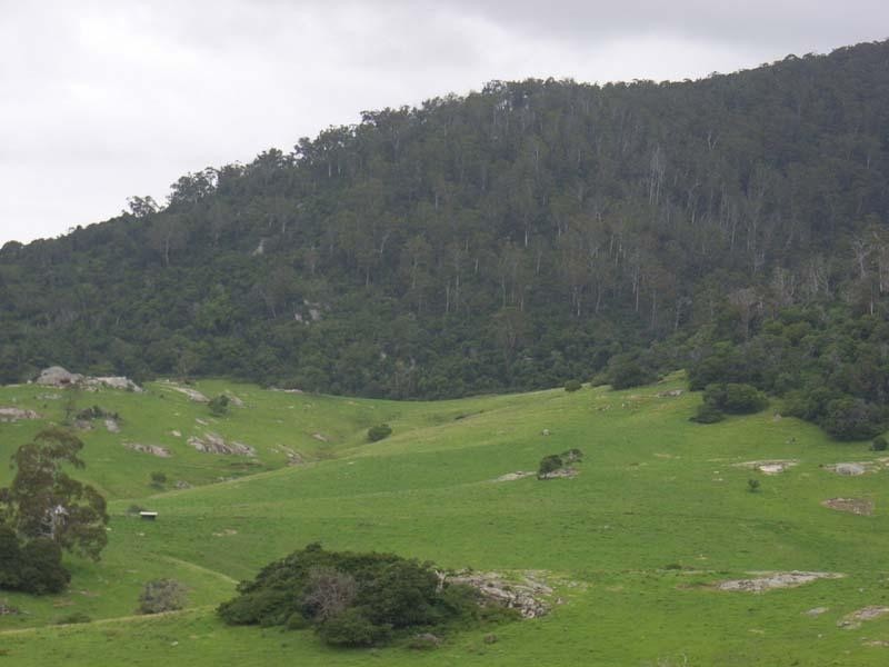Central Tilba NSW 2546