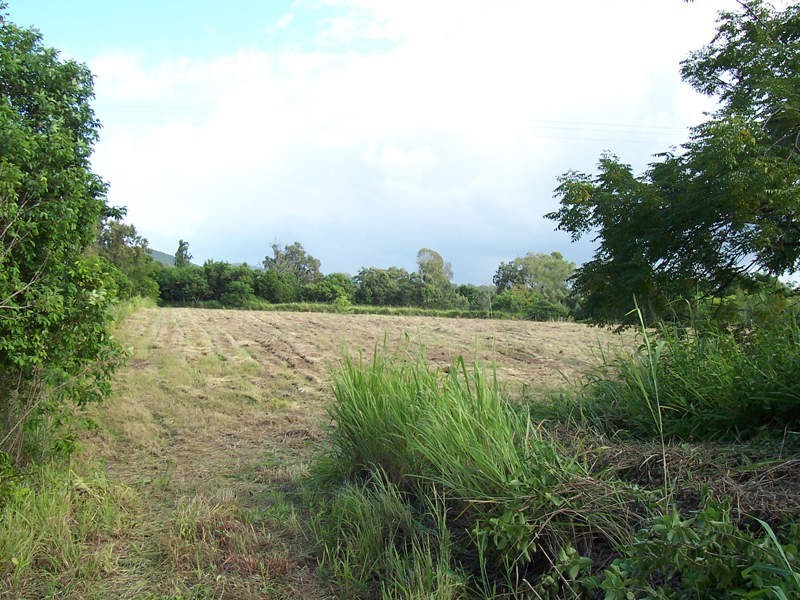 Carmila QLD 4739