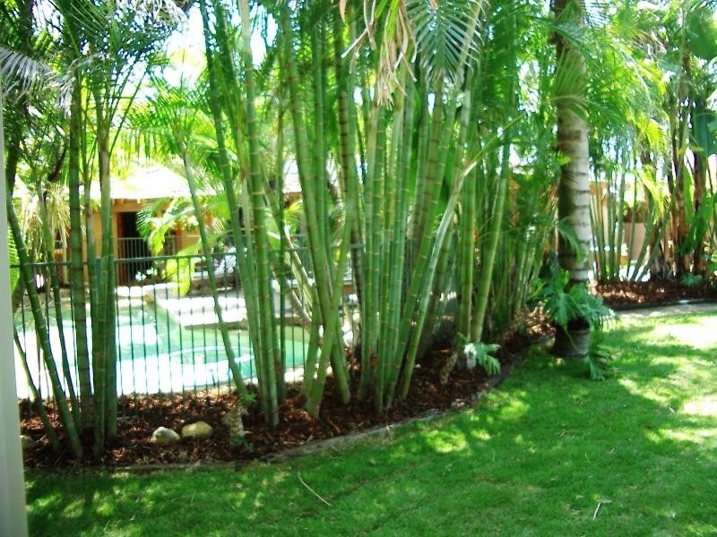 15 Moorilla Place, Broadbeach Waters QLD 4218
