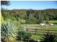 Willow Vale QLD 4209