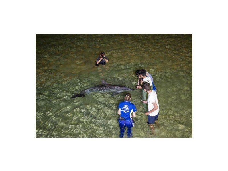 Tangalooma QLD 4025
