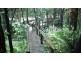 Mount Nathan QLD 4211