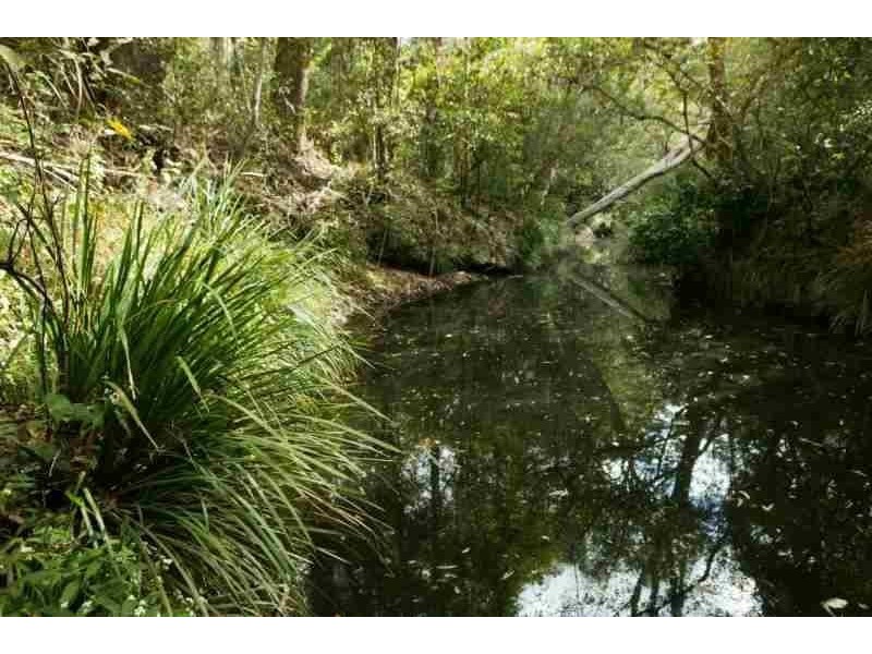 Pacific Pines QLD 4211