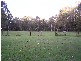 Pallara QLD 4110