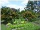 Loganholme QLD 4129
