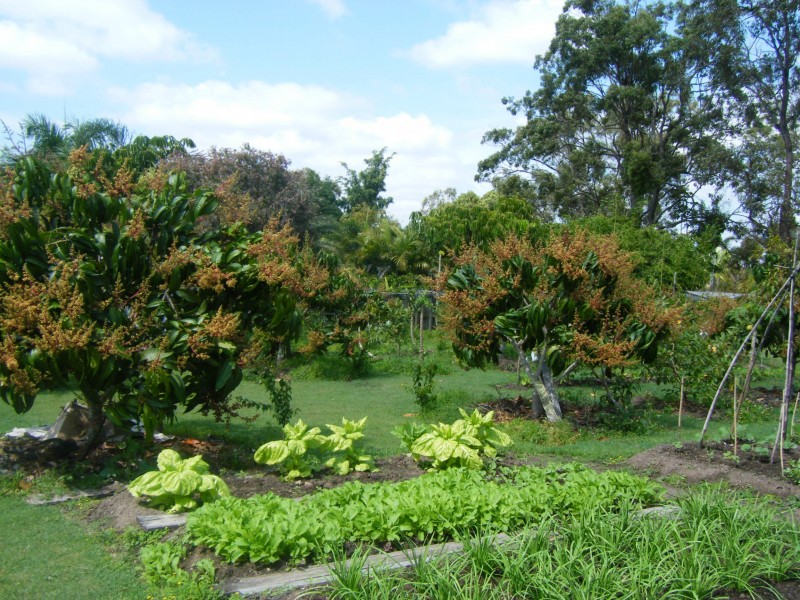 Loganholme QLD 4129