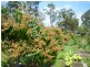 Loganholme QLD 4129