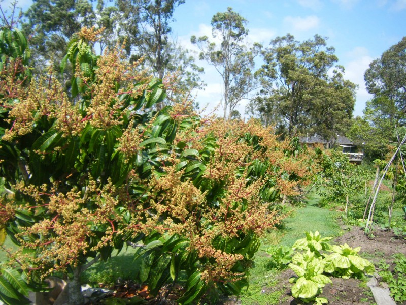 Loganholme QLD 4129