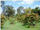 Loganholme QLD 4129