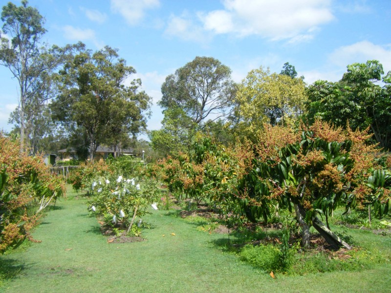 Loganholme QLD 4129