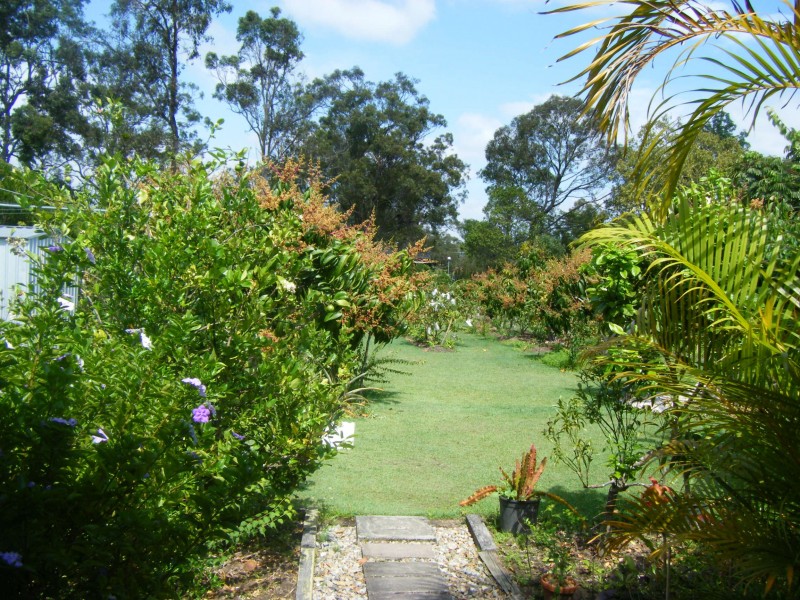 Loganholme QLD 4129