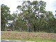 Cedar Vale QLD 4285