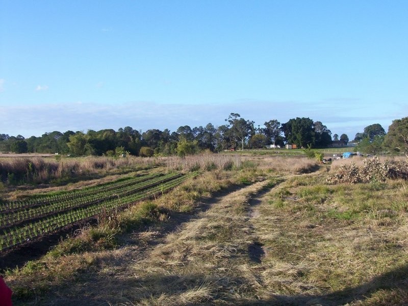 Waterford West QLD 4133