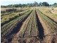 Waterford West QLD 4133