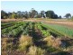 Waterford West QLD 4133
