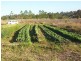 Waterford West QLD 4133