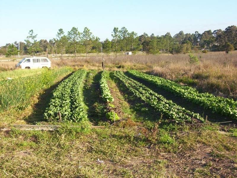 Waterford West QLD 4133