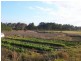 Waterford West QLD 4133