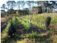 Waterford West QLD 4133