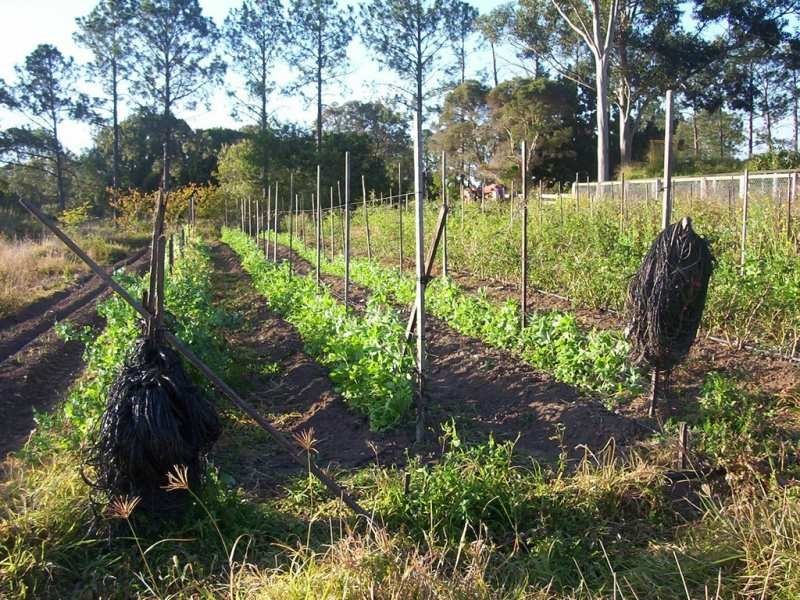 Waterford West QLD 4133