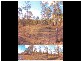 Laidley QLD 4341