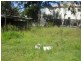 Coorparoo QLD 4151