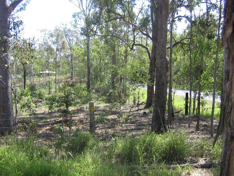 Flinders View QLD 4305