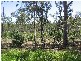 Flinders View QLD 4305