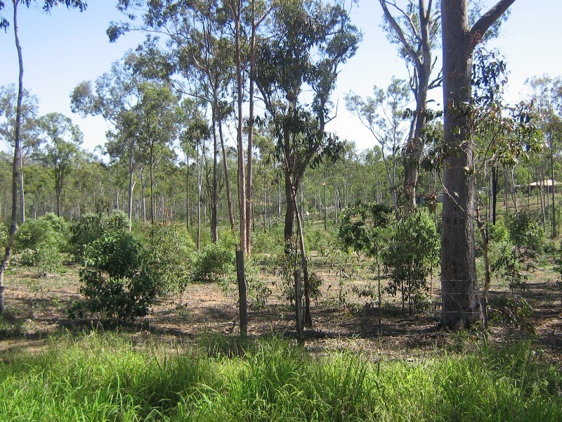 Flinders View QLD 4305