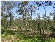 Flinders View QLD 4305